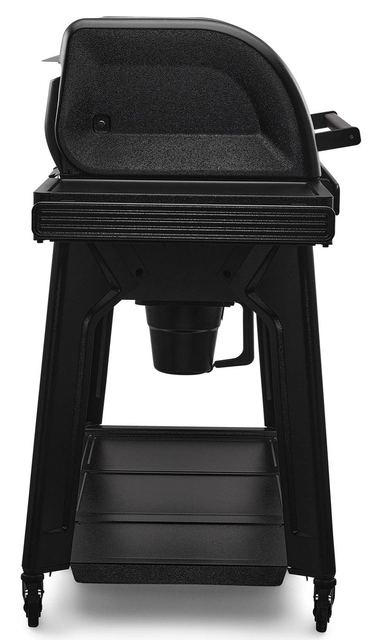 Traeger Woodridge Pro 